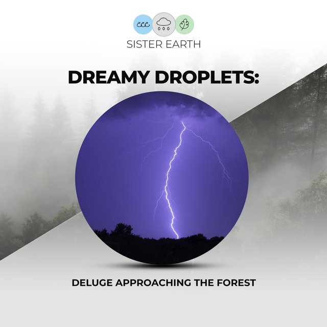 Dreamy Droplets: Deluge Approaching the Forest