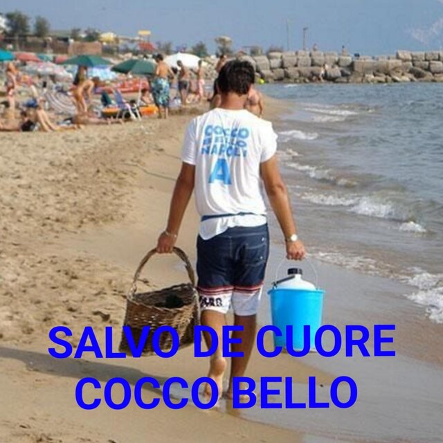 Cocco bello