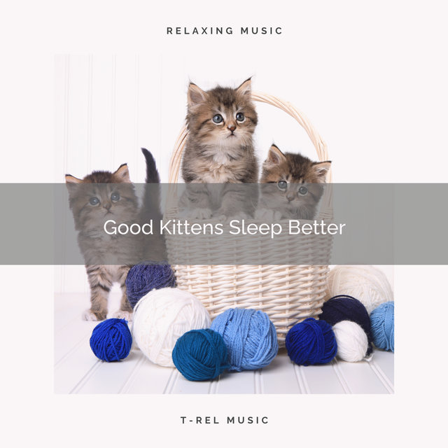 Good Kittens Sleep Better