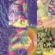 Cover art for album The Neon Gate by Nap Eyes