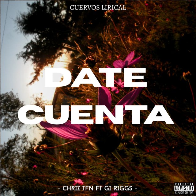 Date Cuenta
