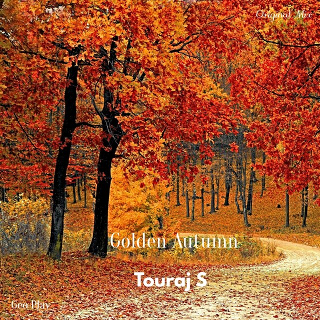 Golden Autumn