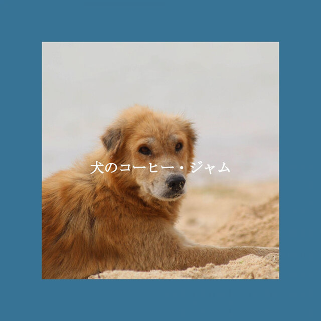 犬のコーヒー・ジャム