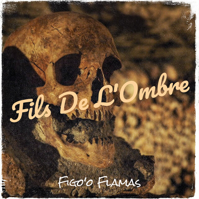 Fils De L'Ombre