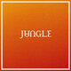 Cover art for album Volcano by Jungle