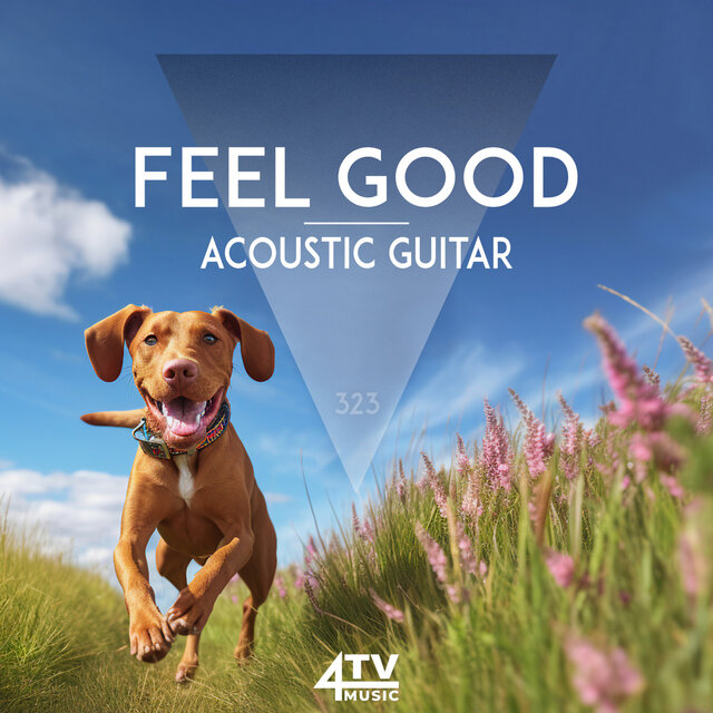 Feel Good - Acoustic Guitar