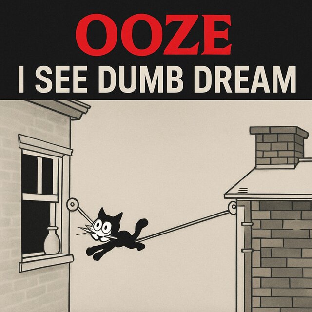 I see dumb dream