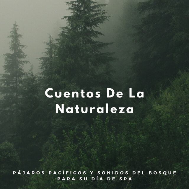 Cuentos De La Naturaleza: Pájaros Pacíficos Y Sonidos Del Bosque Para Su Día De Spa