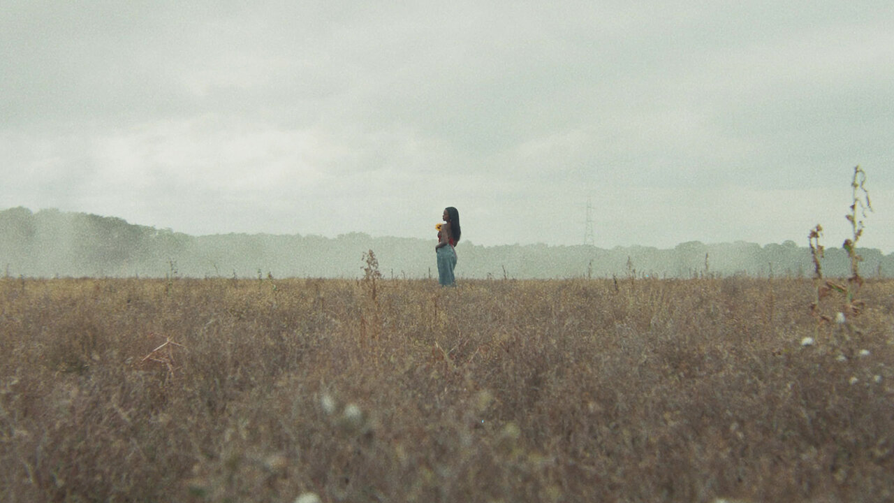 Phenomena (Official Video)
