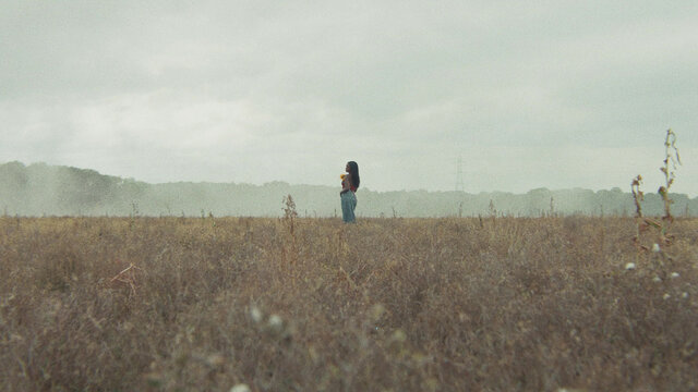 Phenomena (Official Video)