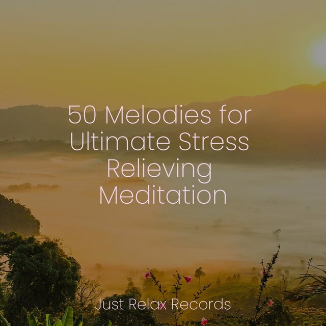50 Melodies for Ultimate Stress Relieving Meditation