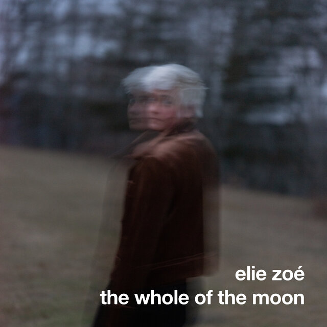 the whole of the moon