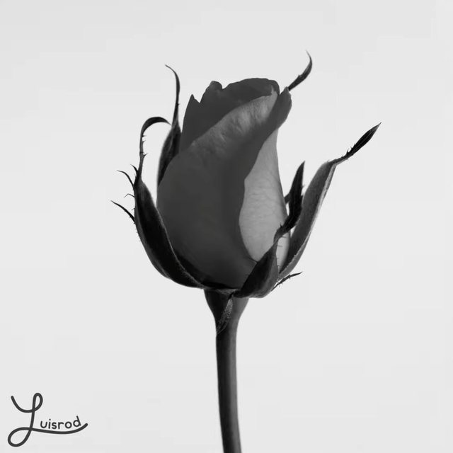 14 de Febrero