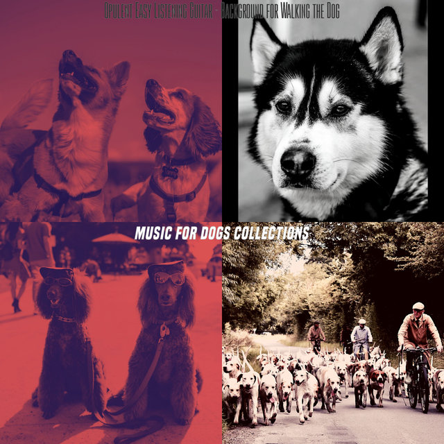 Opulent Easy Listening Guitar - Background for Walking the Dog