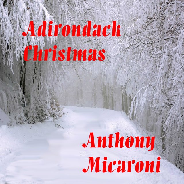 Adirondack Christmas
