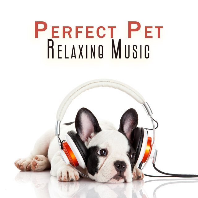 Perfect Pet Relaxing Music