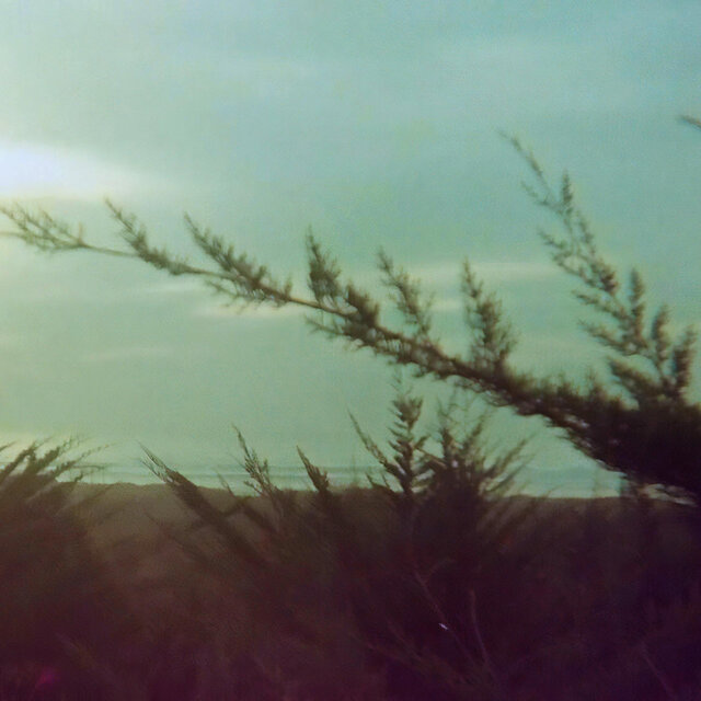 Forgotten