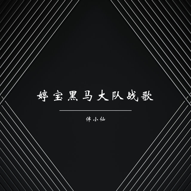 婷宝黑马大队战歌