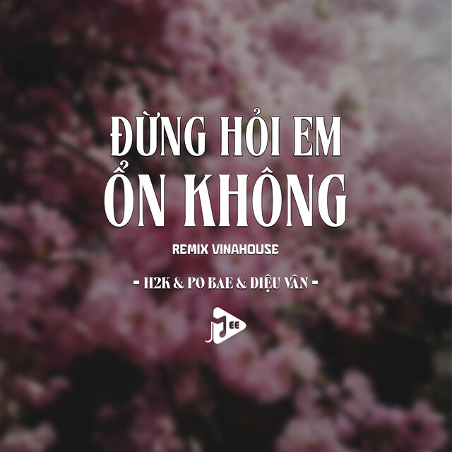 Đừng Hỏi Em Ổn Không (Remix Vinahouse)