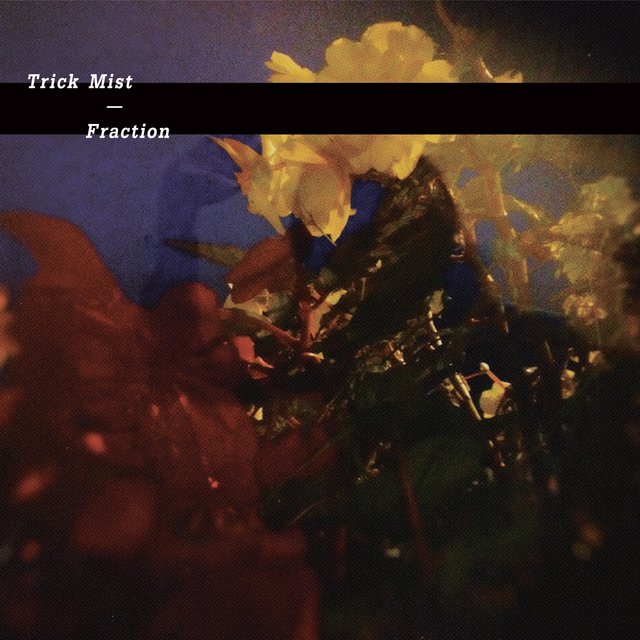 Fraction