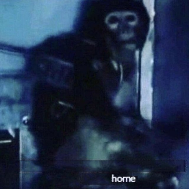 48H