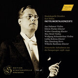 Violin Concerto in D Major, Op. 61: II. Larghetto