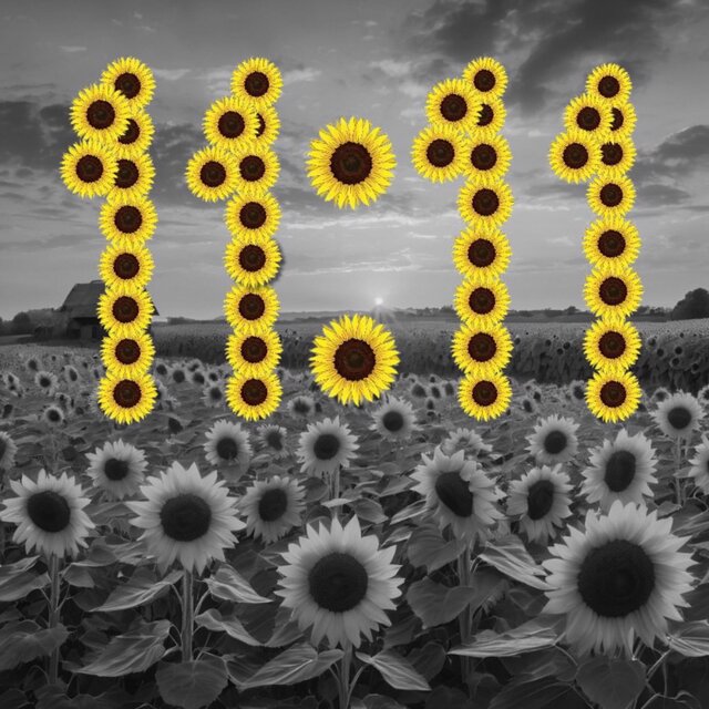 11:11