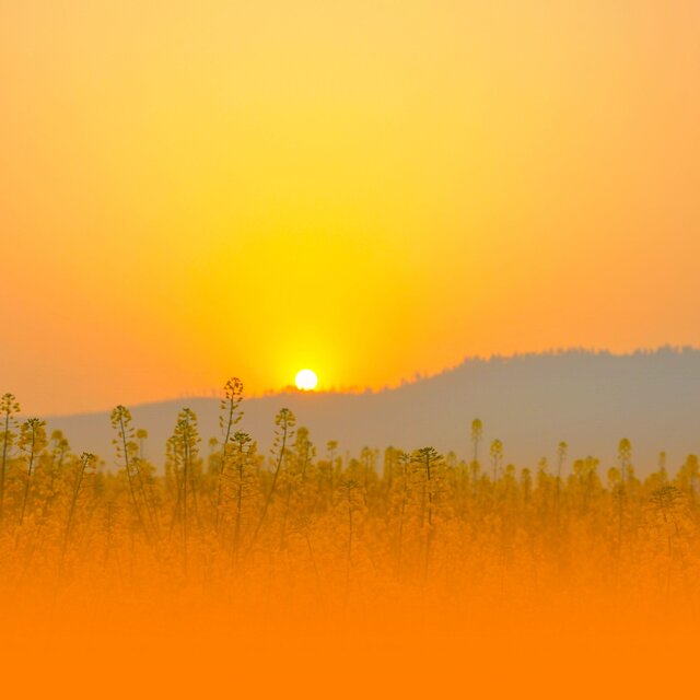 Deep Healing Music For Stress Relief And Emotional Balance With Calming Instrumental Sounds For Inner Peace