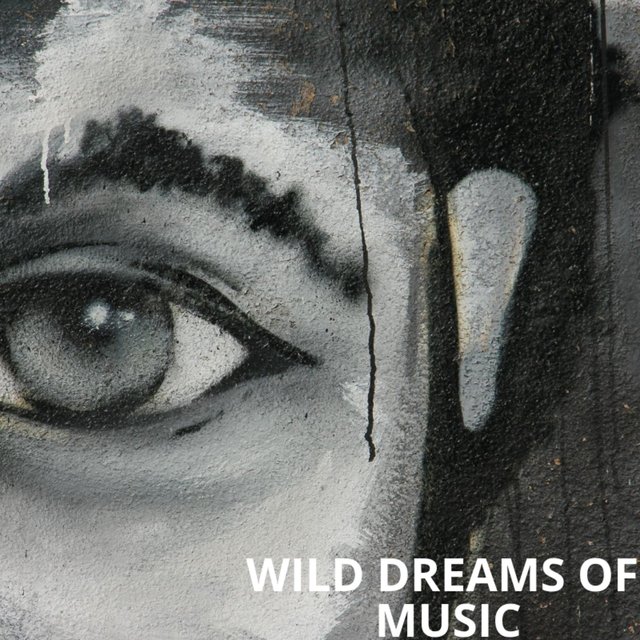 Wild Dreams of Music