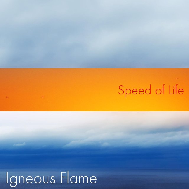 Speed of Life