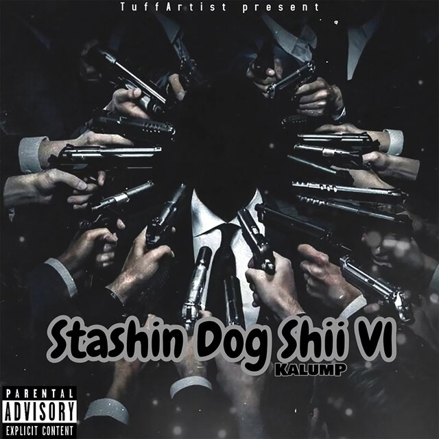Stashin Dog Shii VI