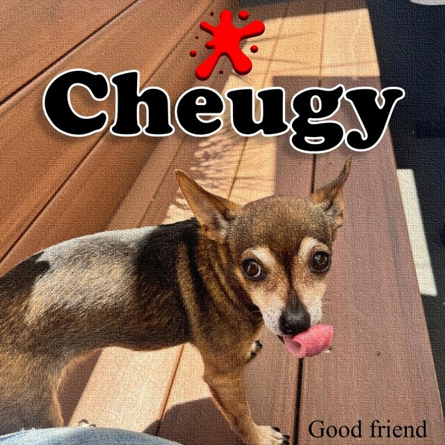 Good Friend