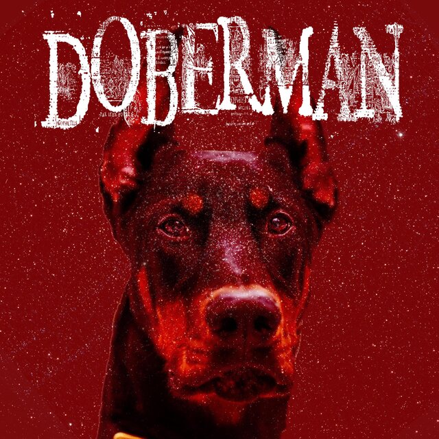 Doberman