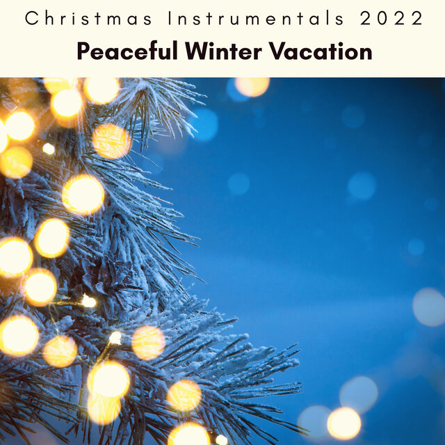 4 Peace: Peaceful Winter Vacation