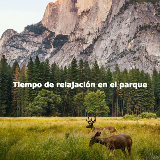 Tiempo de relajación en el parque