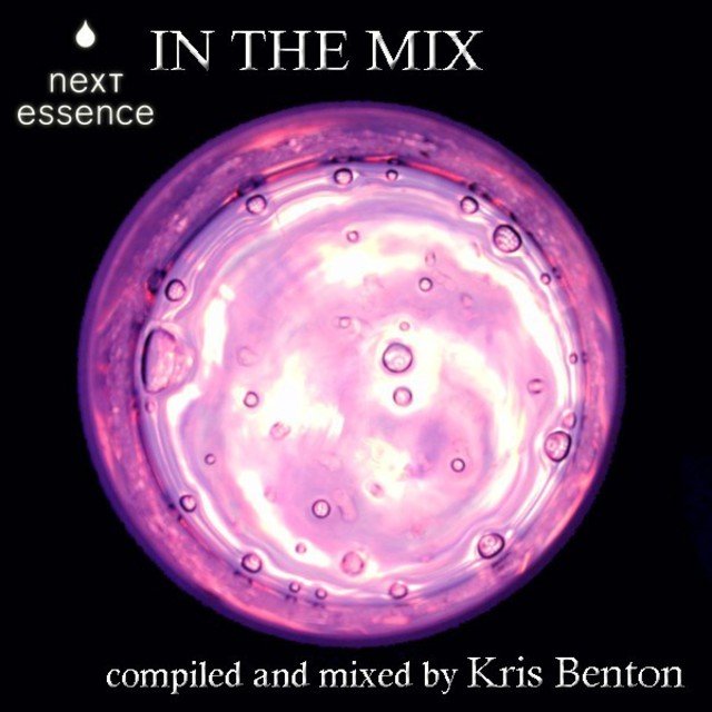 Next Essence in the Mix - Labelcompilation Vol. 1