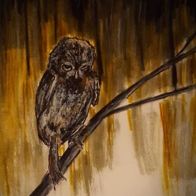 Nocturnal