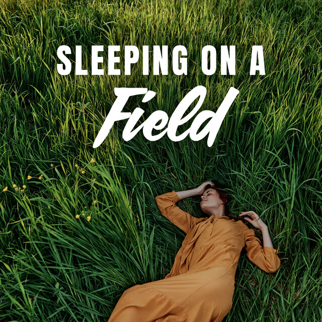 Sleeping On A Field
