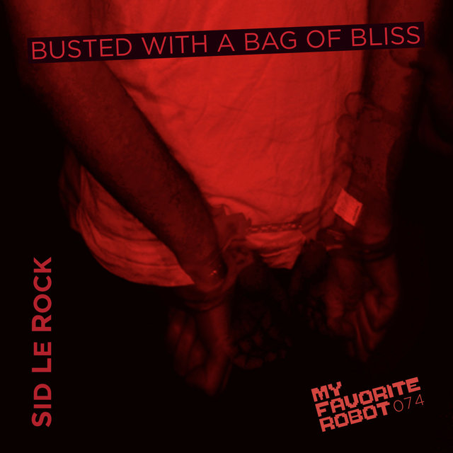 Busted With A Bag Of Bliss