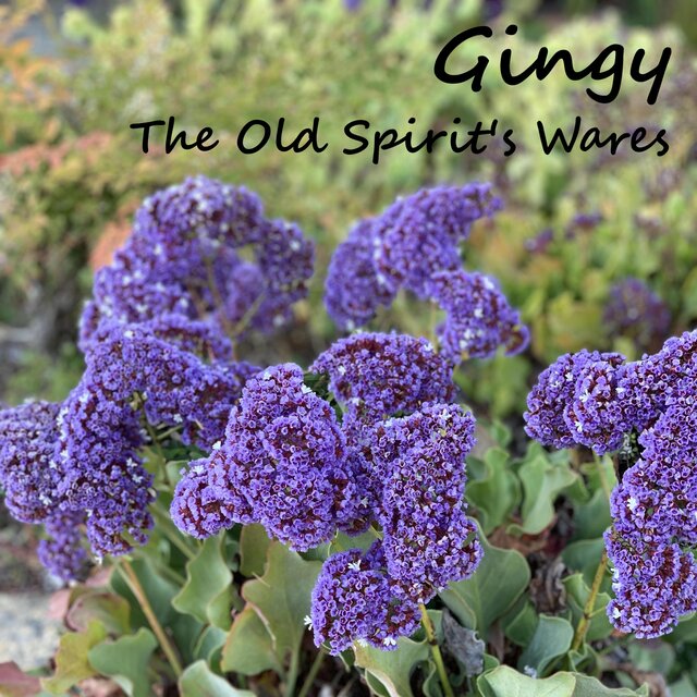 The Old Spirit's Wares