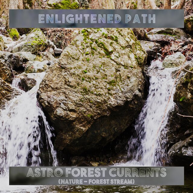 Astro Forest Currents (Nature – Forest Stream)