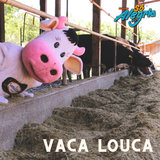 Vaca Louca
