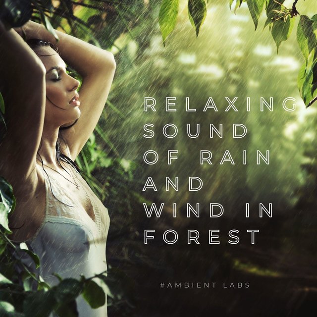 Relaxing Sound of Rain and Wind in Forest