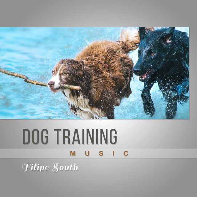 Dog Training Music