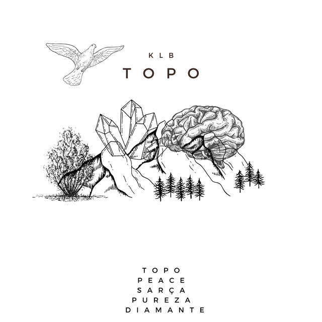 Topo