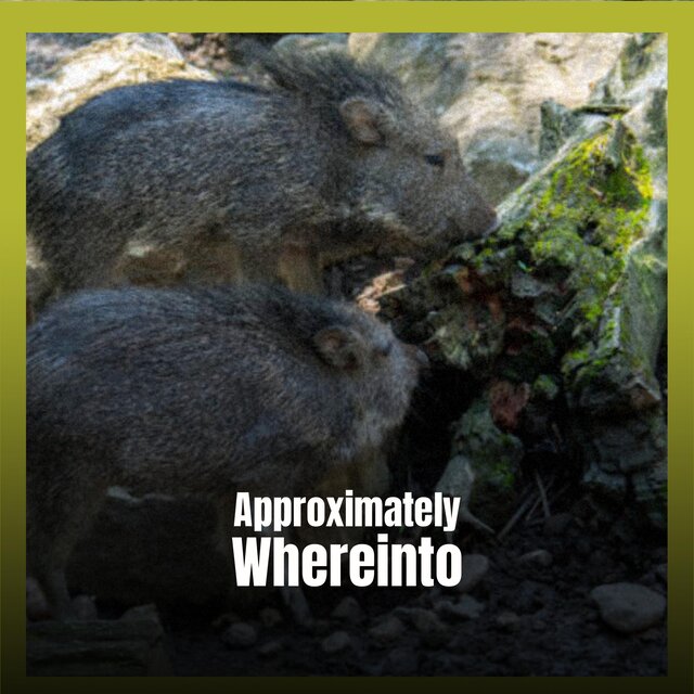Approximately Whereinto