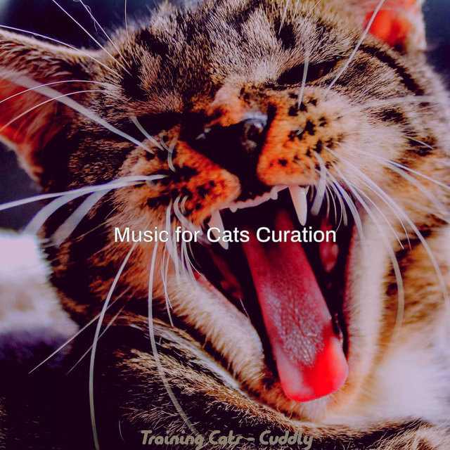 Training Cats - Cuddly