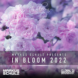 Rediscover (In Bloom 2022)