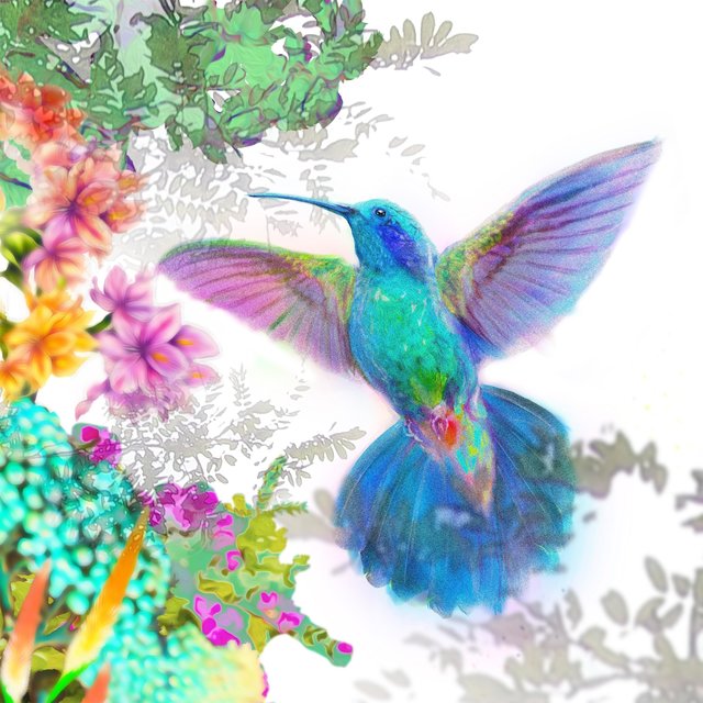 Hummingbirds