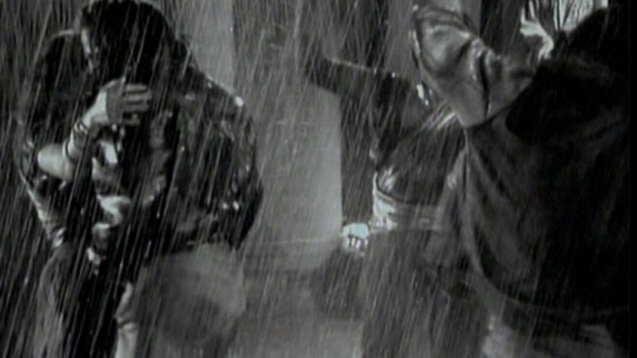 Blame It On the Rain